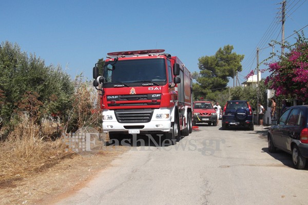 Απαγόρευση κυκλοφορίας το Σαββατοκύριακο στα δάση της Αρκαδίας