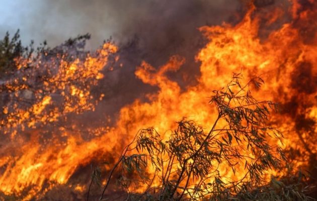 Πολύ υψηλός κίνδυνος πυρκαγιάς την Τετάρτη σε Αττική και σε 7 περιφερειακές Ενότητες
