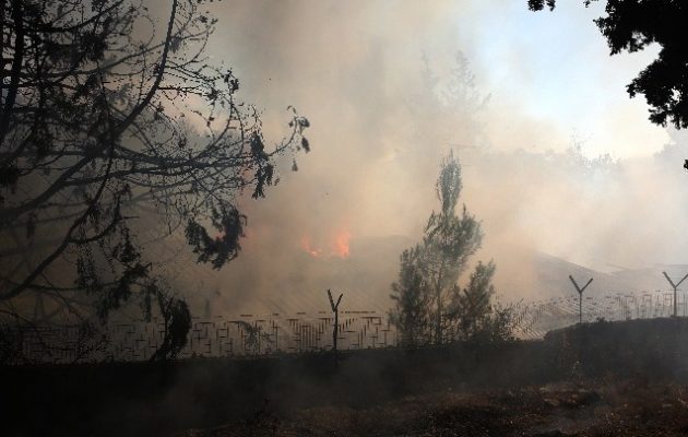 Φωτιά στον Βαρνάβα: Μήνυμα του 112 για απομάκρυνση και από τον Μαραθώνα